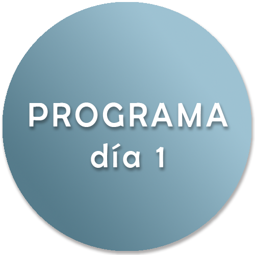Programa día 1