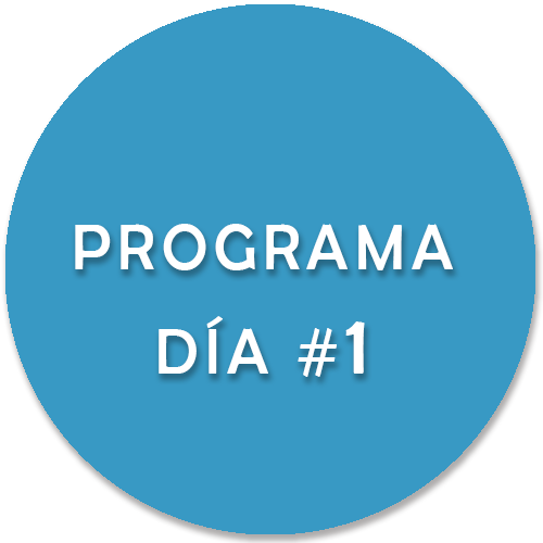 Programa día 1
